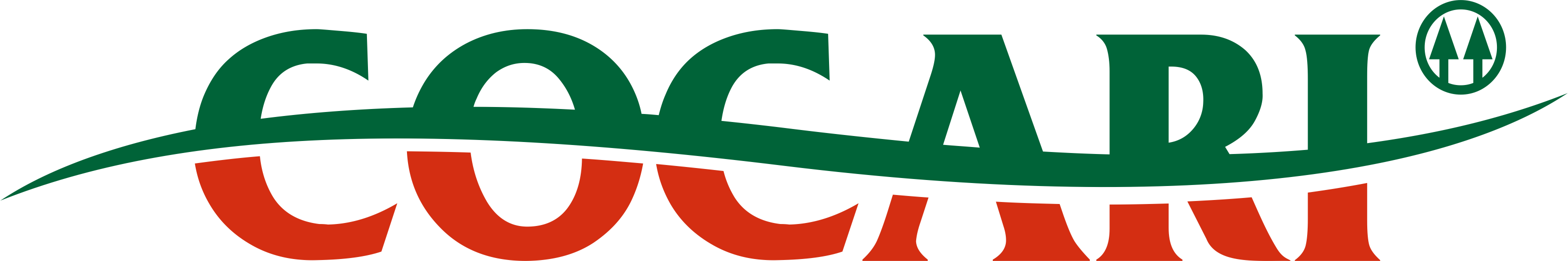 logo_Cocari